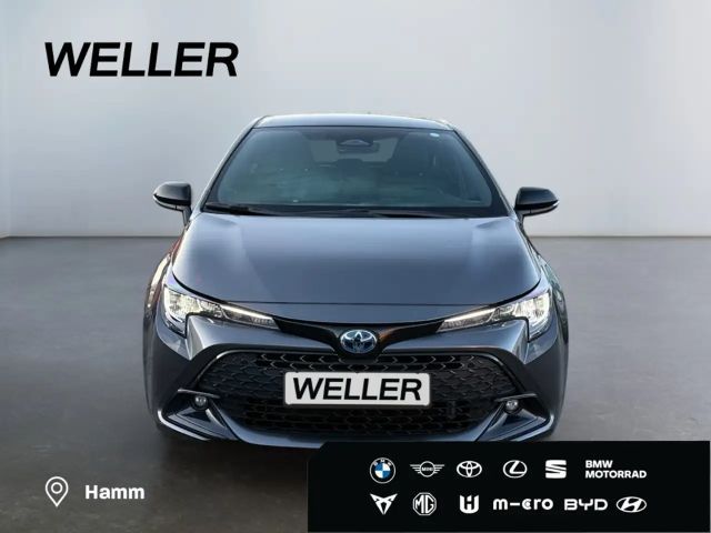 Toyota Corolla Business Hybride