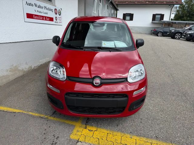 Fiat Panda CityCross