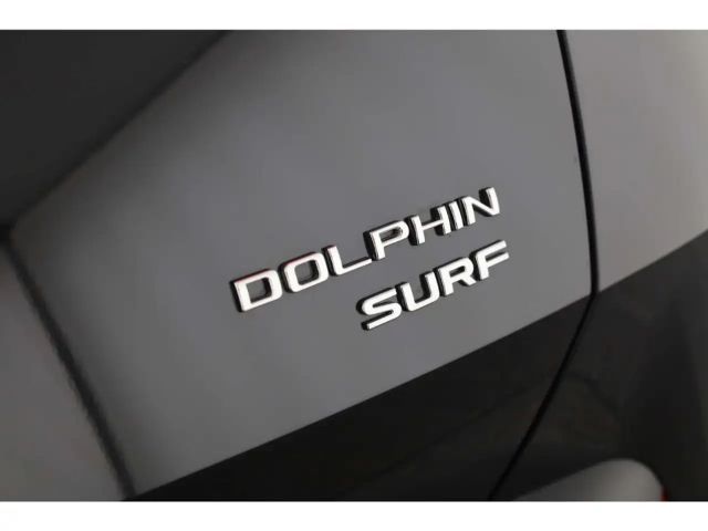 BYD Dolphin Comfort