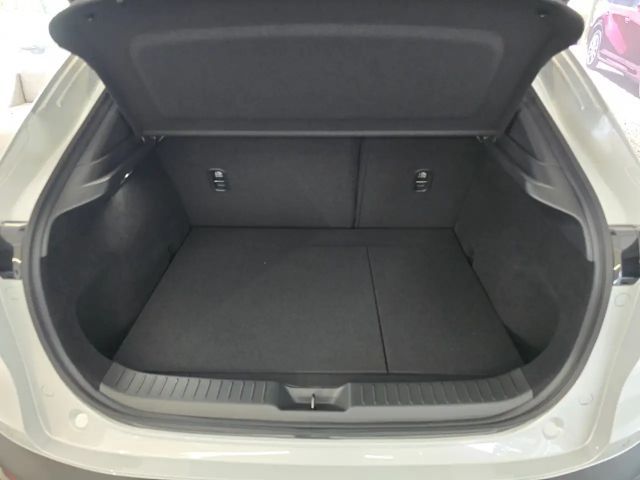 Mazda CX-30 2.5L SkyActiv e-Skyactiv