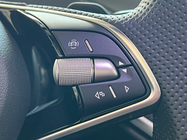 Skoda Elroq *AHK, Matrix-LED, LM'-20*