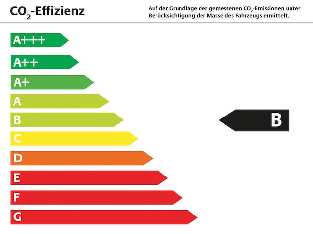 Volkswagen Caravelle 2.0 TDI T6 Trendline