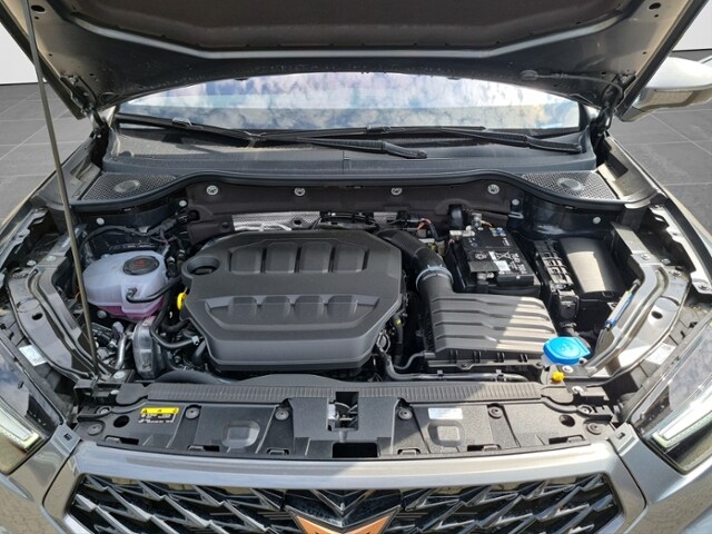 Cupra Ateca 2.0 TSI 4Drive DSG