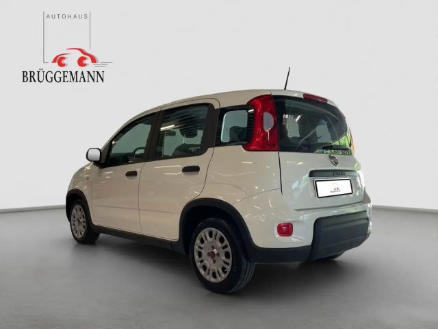 Fiat Panda 1,0 Hybrid Klima/DAB