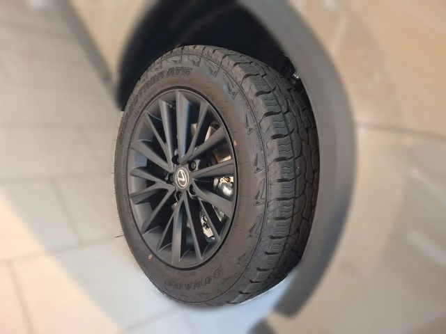 Lexus NX E-Four Overtrail Aut. ACC+Navi+SD+SHZ+LM