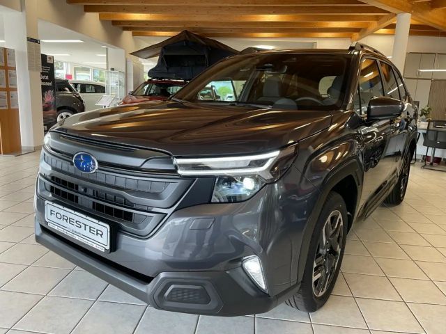 Subaru Forester Exclusive