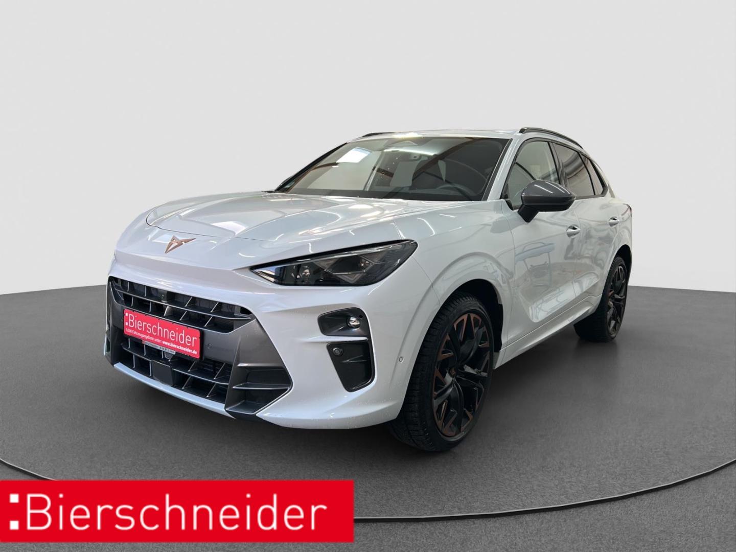 Cupra Terramar 2.0 TSI VZ