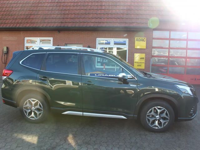 Subaru Forester Comfort