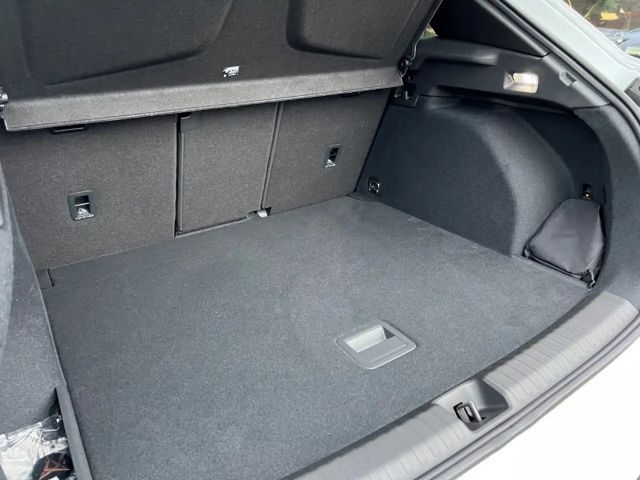 Cupra Terramar 2.0 TSI VZ