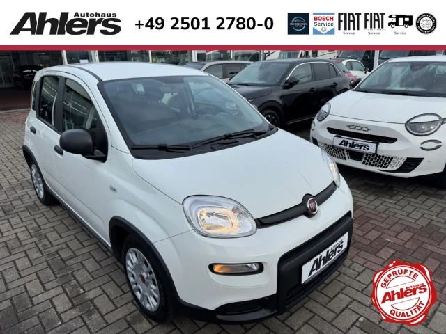 Fiat Panda +5SITZER+ALLWETTER+KLIMA+BLUETOOTH+DAB+