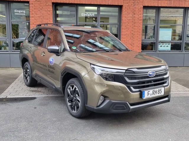 Subaru Forester Exclusive