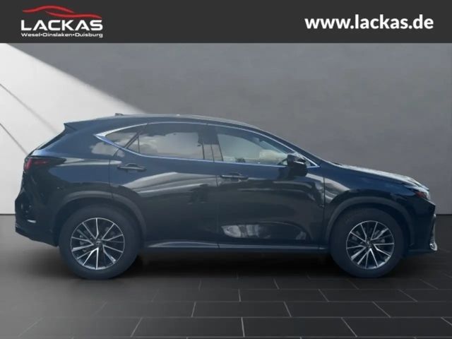 Lexus NX Executive Line