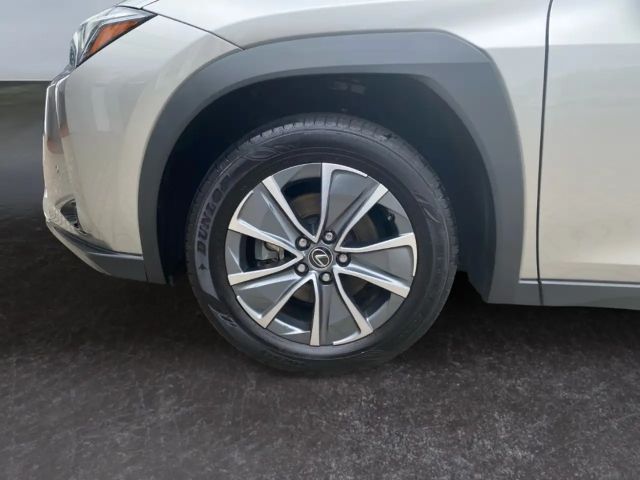 Lexus UX *Bi-LED*Leder*4x SHZ*el Sitze*Kamera*ACC*