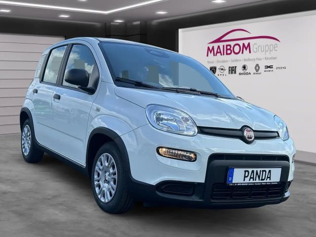 Fiat Panda Pandina 1.0 GSE