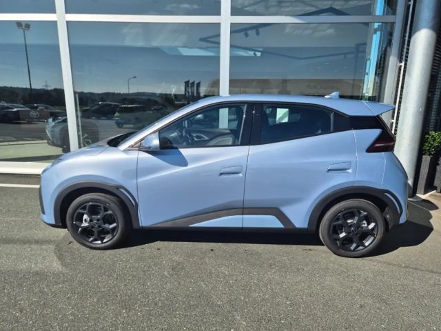 BYD Dolphin Surf Boost