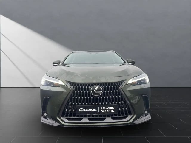Lexus NX Executive Line