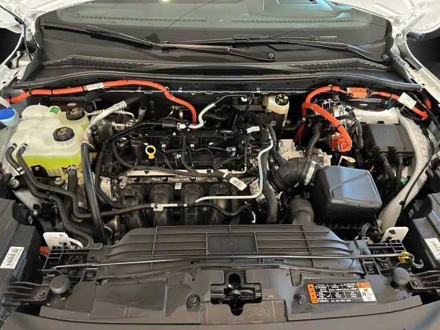 Ford Kuga Plug in Hybrid ST Line