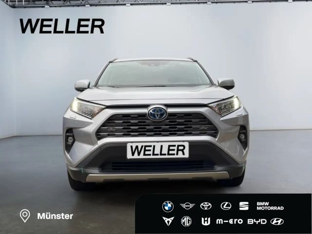 Toyota RAV4 4x2 Hybride Team D