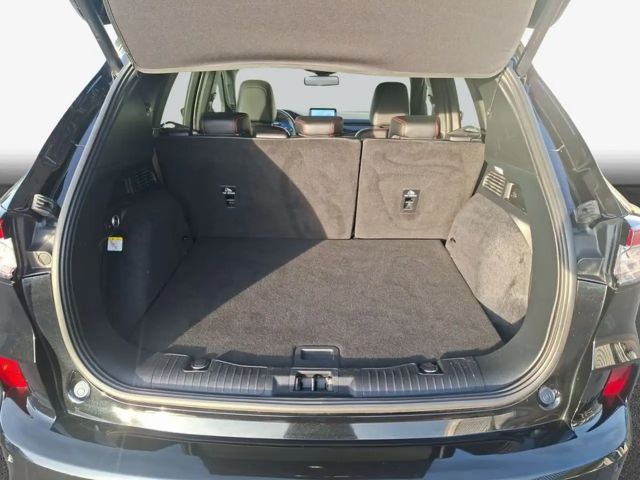 Ford Kuga Hybrid ST Line X