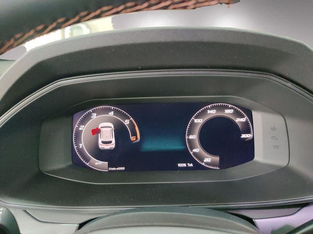 Cupra Formentor Formentor 2.0 TDI AHK/Matrix/Navi/Pano/360°/5J.Garantie