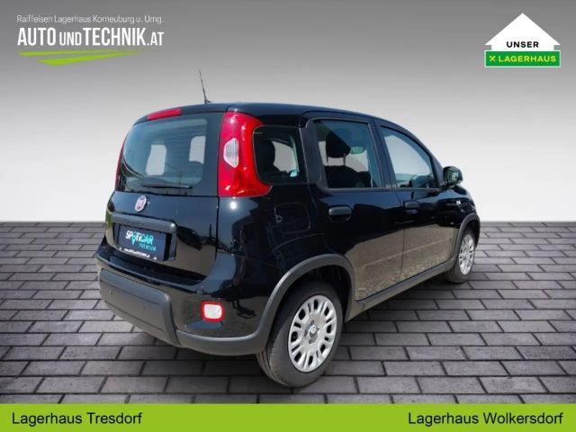 Fiat Panda PT70