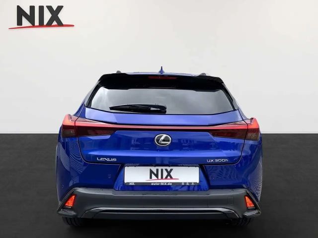 Lexus UX F Sport Sport