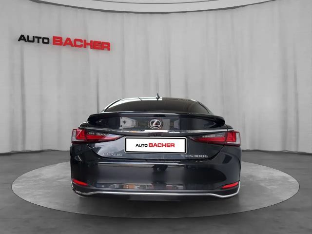 Lexus ES Business Line