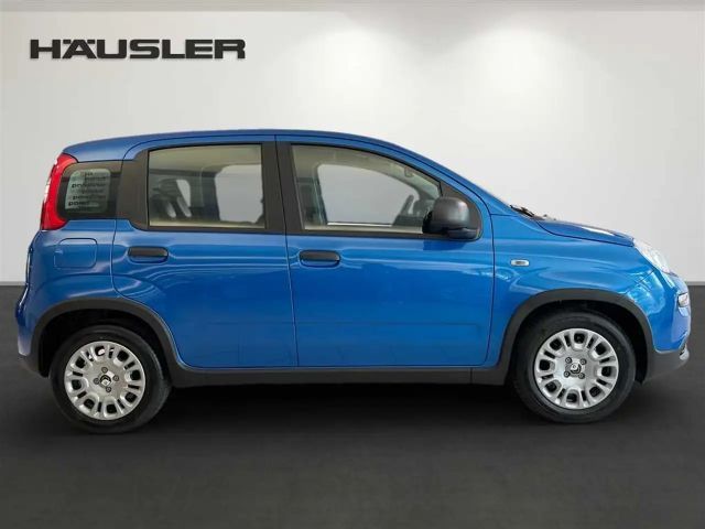 Fiat Panda Hybrid *Klima* *PDC* *digitaler Tacho* uvm.