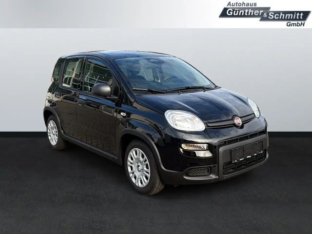 Fiat Panda 1.0 Pandina