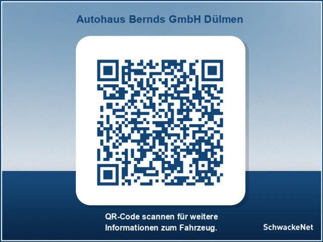 Renault Trafic Blue EDC Grand Spaceclass