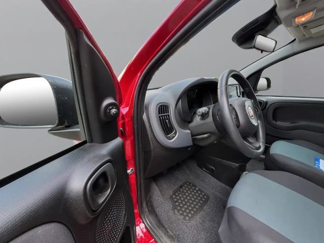 Fiat Panda Panda