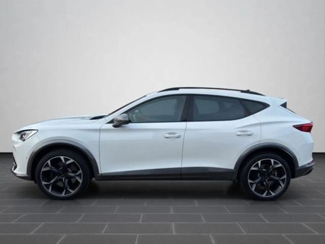 Cupra Formentor 2.0 TSI 4Drive DSG