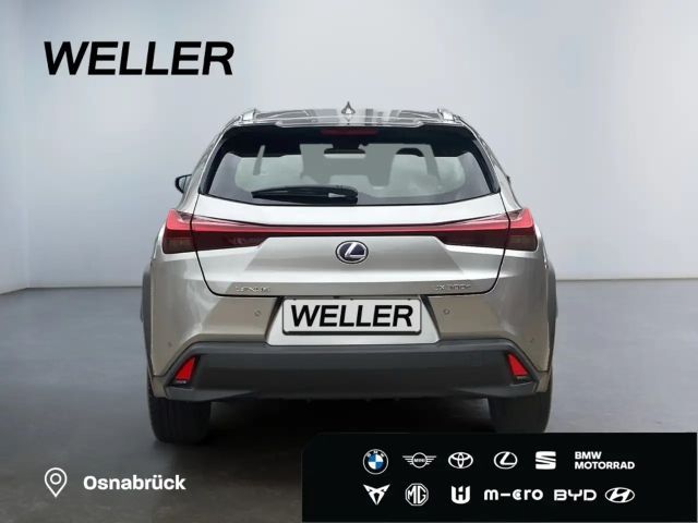 Lexus UX *Bi-LED*Leder*4x SHZ*el Sitze*Kamera*ACC*