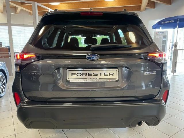 Subaru Forester Exclusive