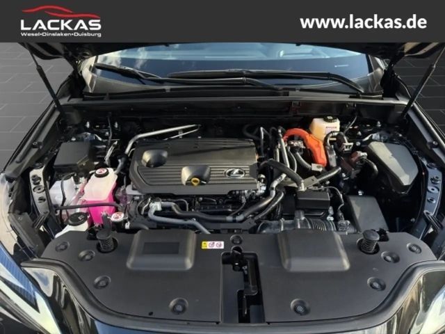 Lexus NX Executive Line