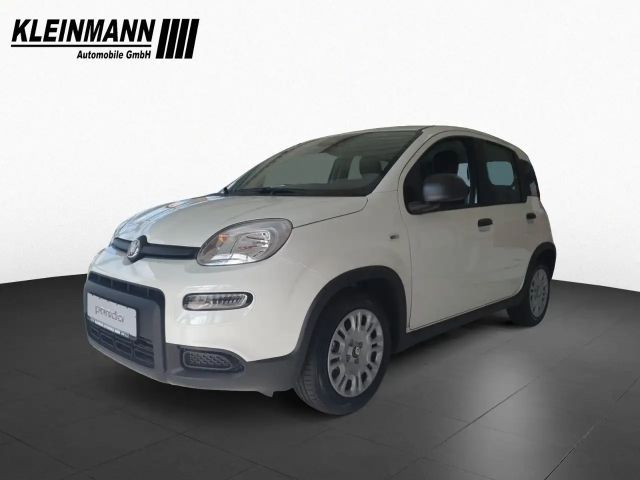 Fiat Panda "Pandina Urban" 1.0 GSE Hybrid (71 PS)