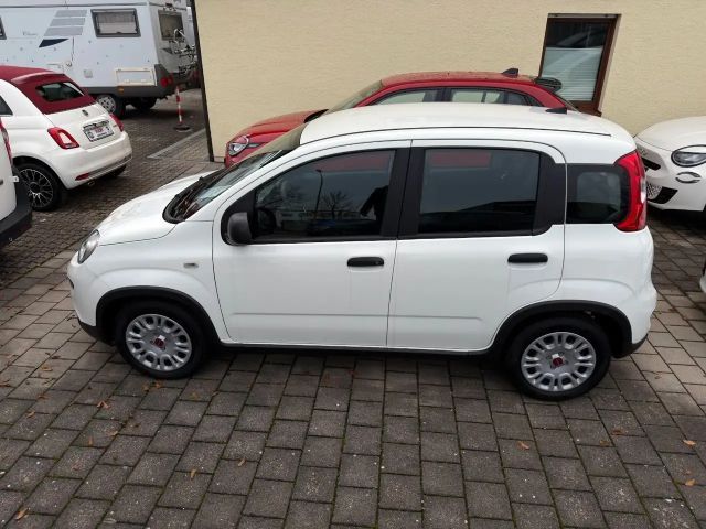 Fiat Panda MY24 Panda Hybrid 1.0 GSE 51kw (70PS)