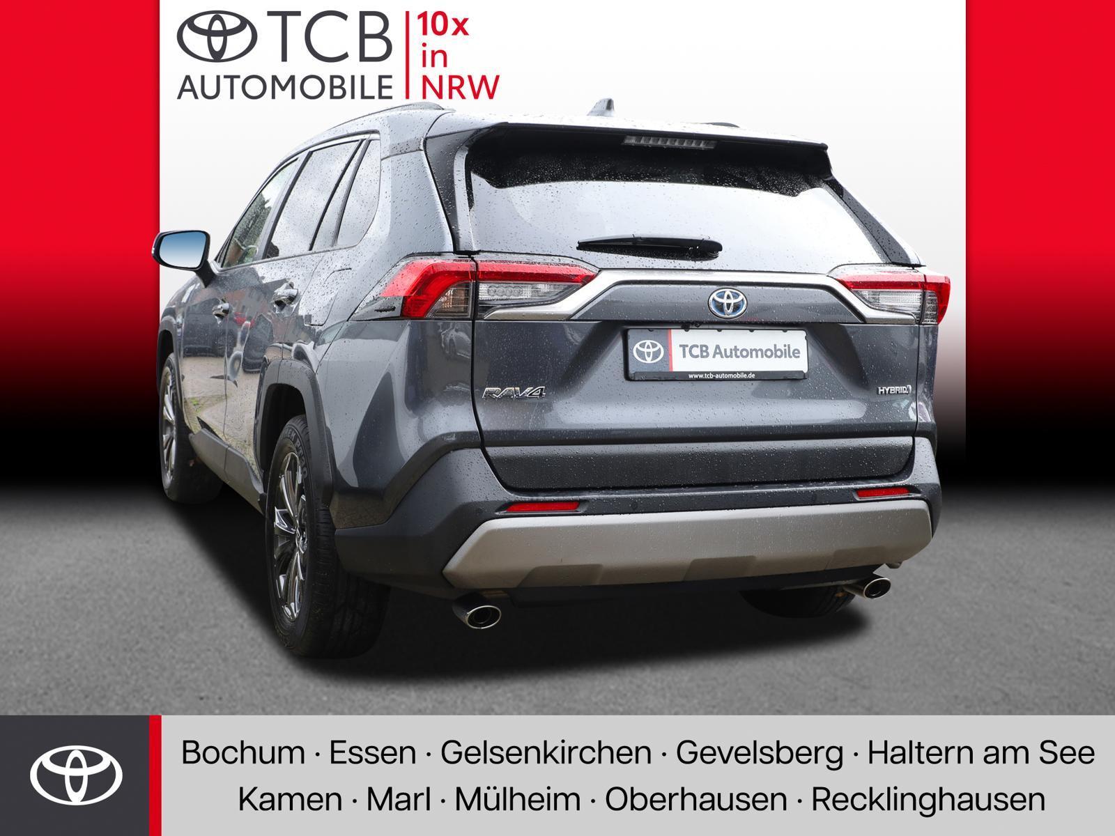 Toyota RAV4 5-deurs Team D