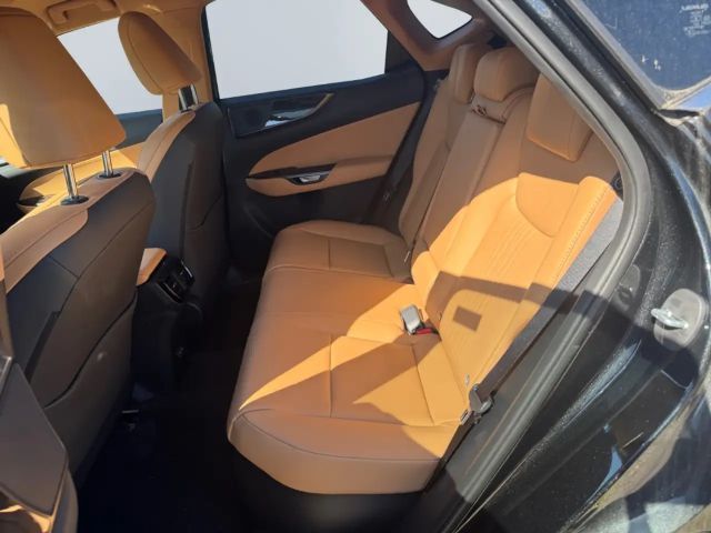 Lexus NX Executive Line