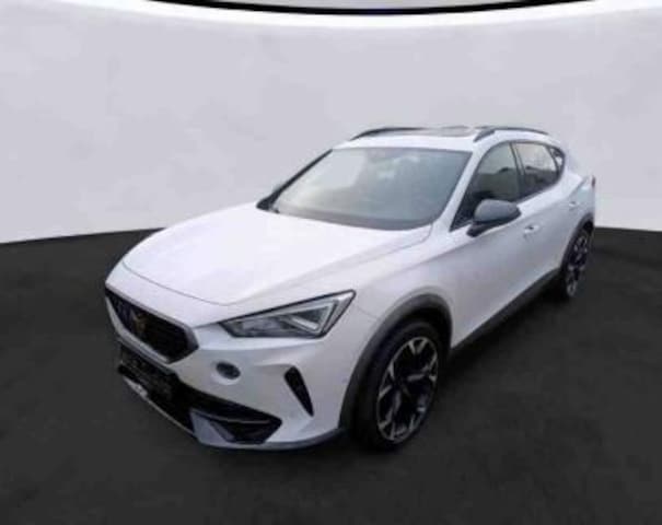 Cupra Formentor 2.0 TSI 4Drive VZ