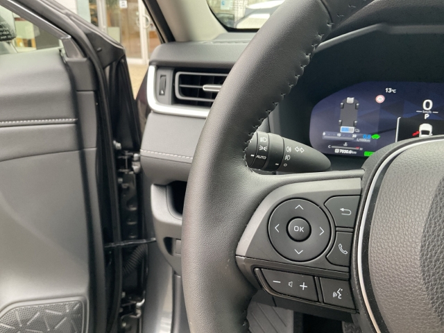 Toyota RAV4 5-deurs Team D