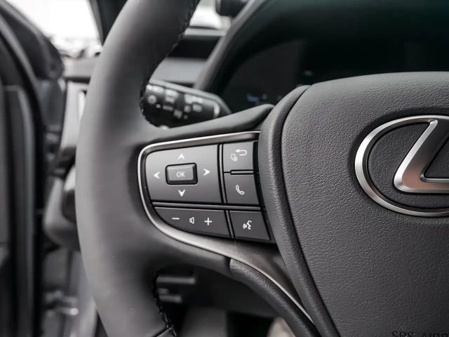 Lexus UX F Sport Sport