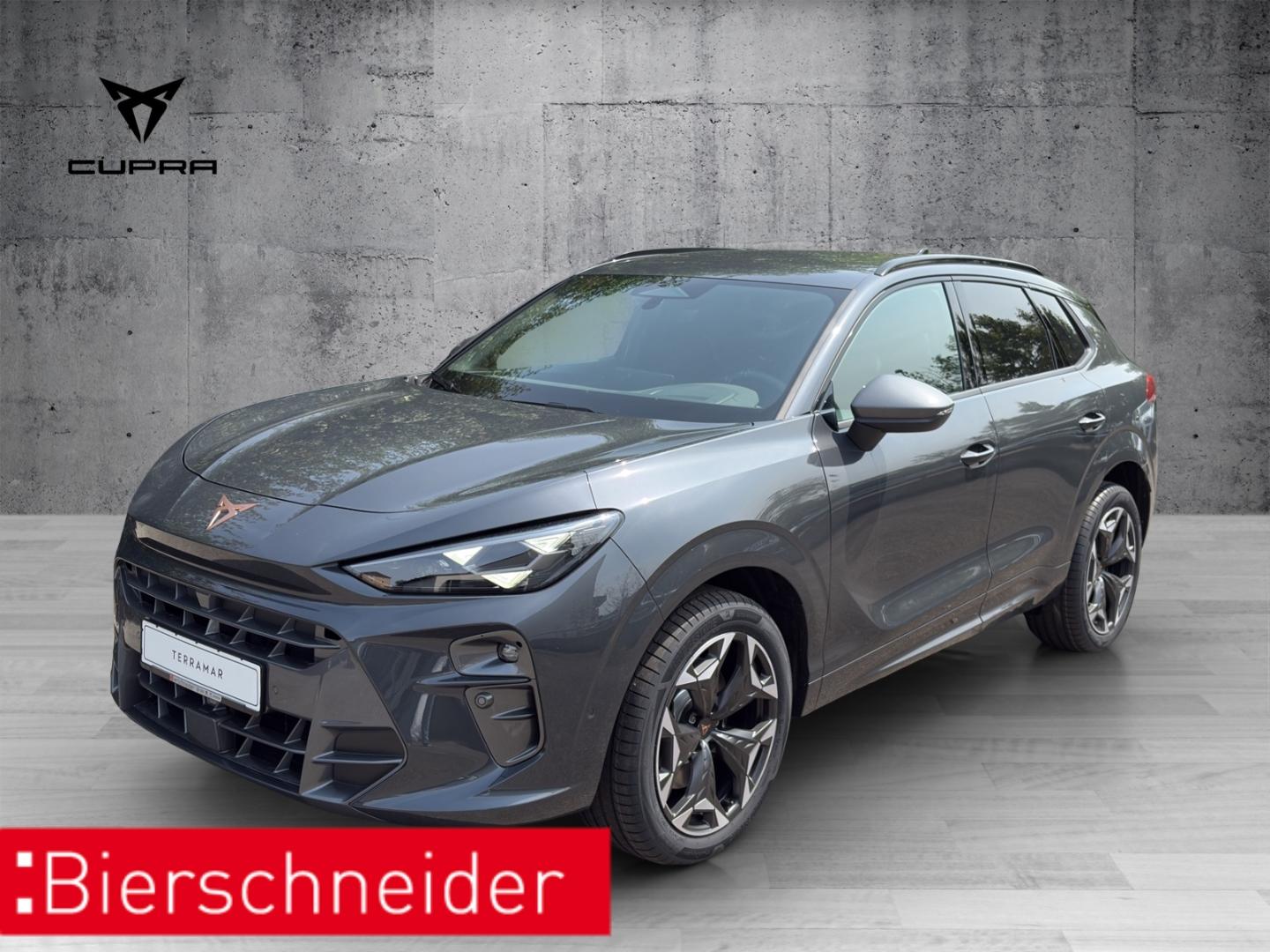 Cupra Terramar VZ