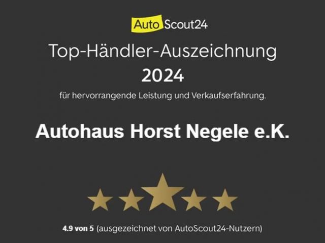 Renault Austral City-,Winter-Paket, Ganzj-Reifen I-Laden Lederlenk