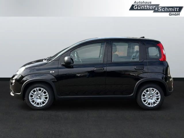 Fiat Panda 1.0 Pandina
