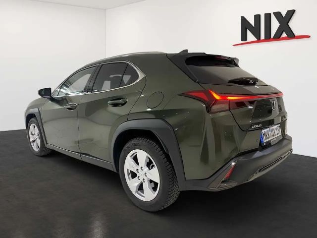 Lexus UX F Sport Sport