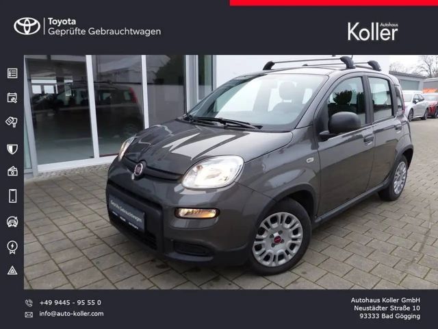 Fiat Panda 1.0 Mild-Hybrid Klimaanlage Bluetooth DAB
