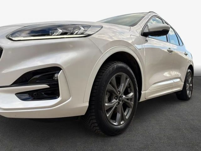 Ford Kuga Plug in Hybrid ST Line