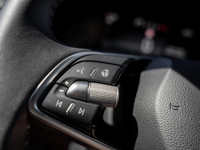 Skoda Fabia 1.0 MPI 5-GANG SpurH SoundSys