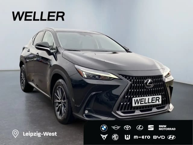 Lexus NX Executive Line